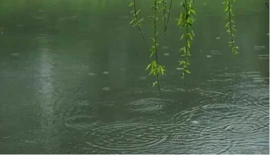 春雨歌一场 春花开烂漫