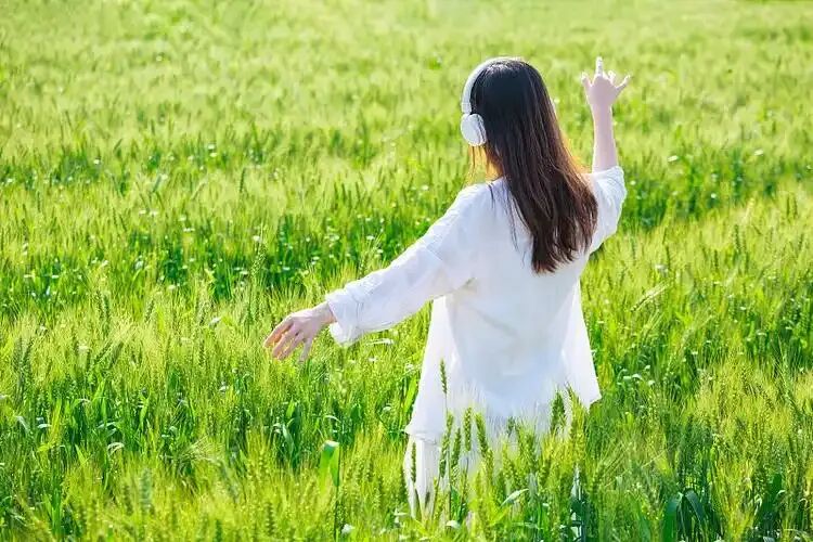 春天治愈感满满的歌曲推荐23首 有你喜欢的吗?