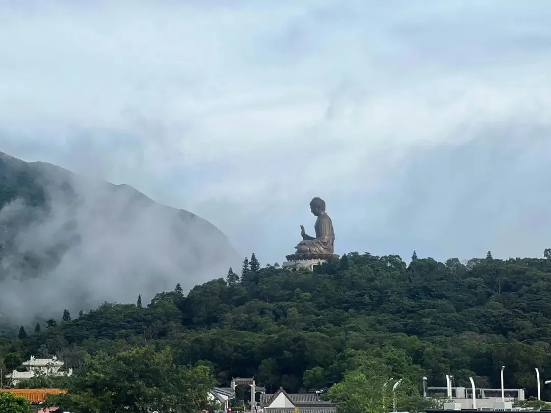 南无本师释迦牟尼佛(佛像+佛号歌曲)12小时