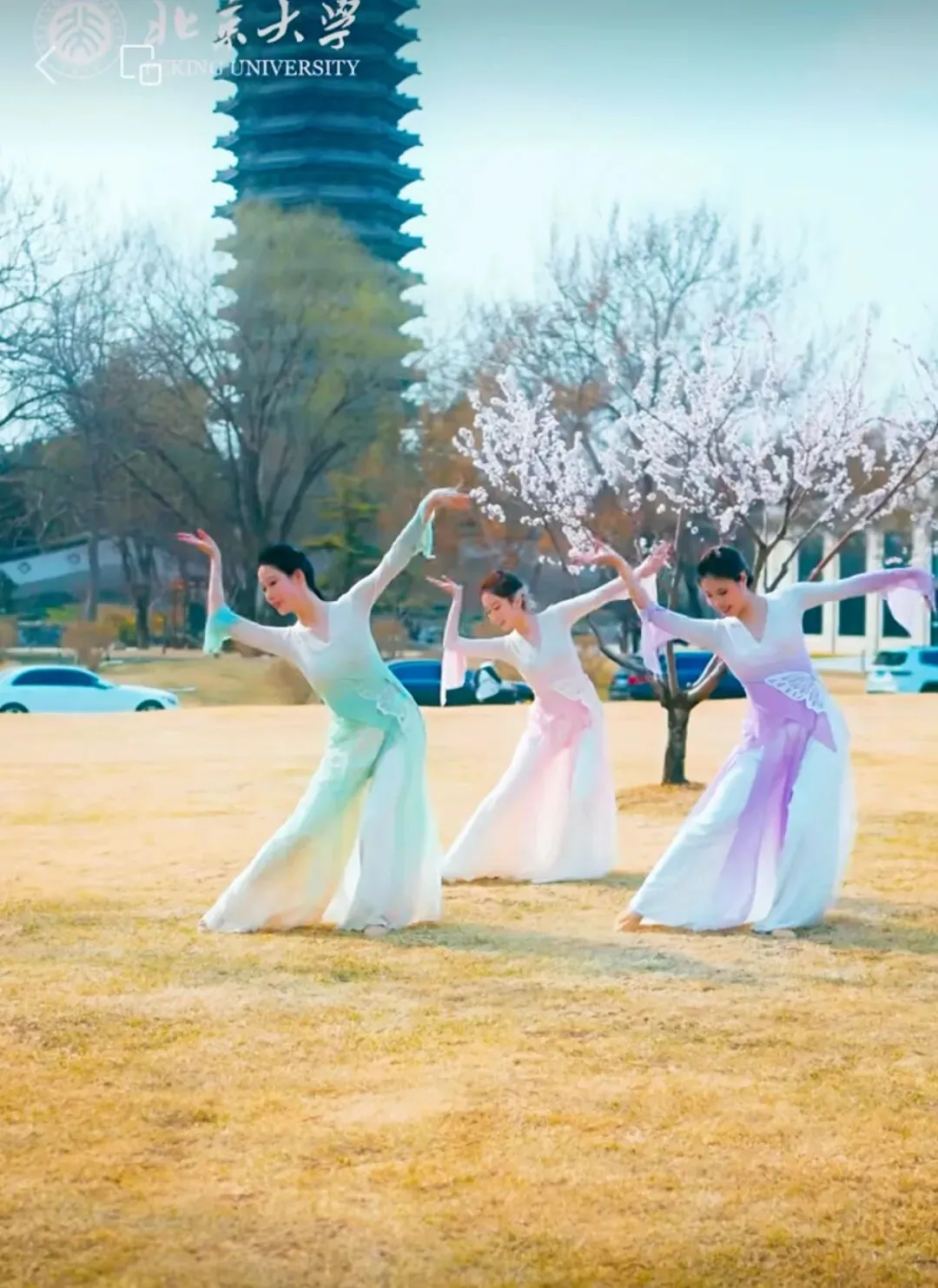 分享《立春》这首歌共赴一场春天的约会