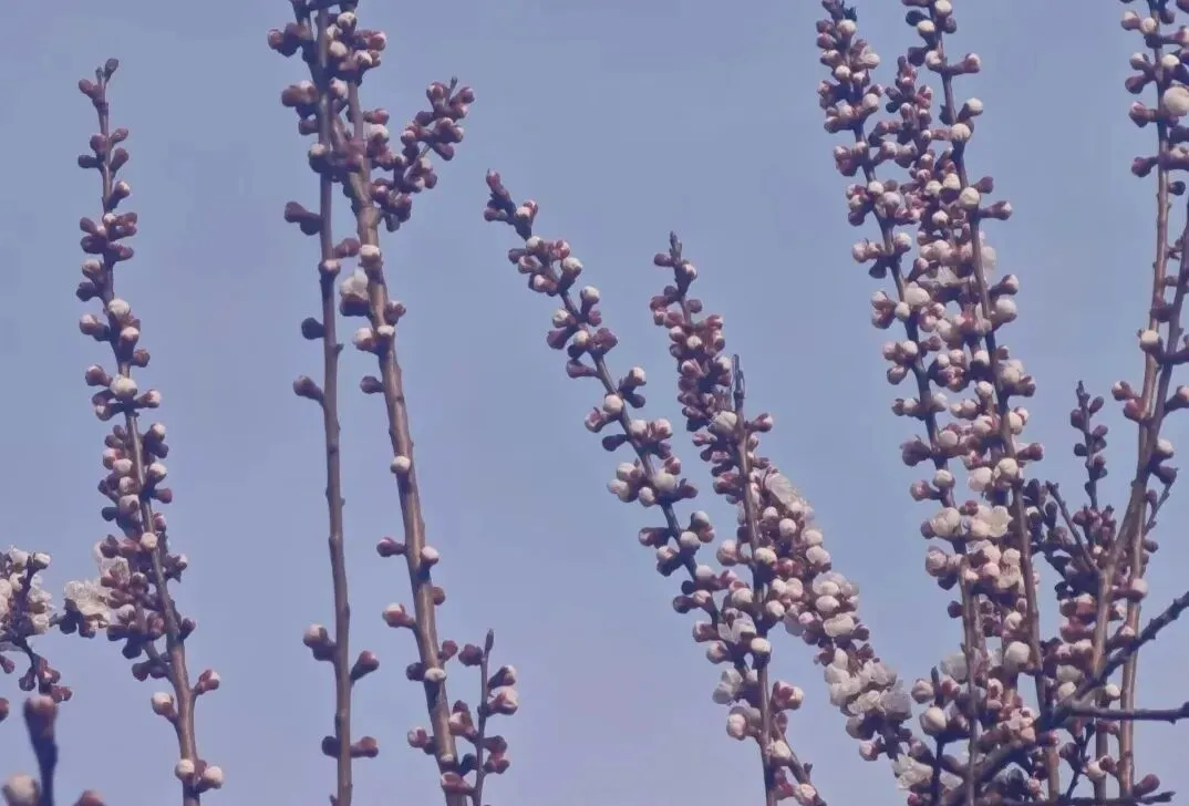 听《堕落的天使》叹岁月:老歌不老,我们且行且安