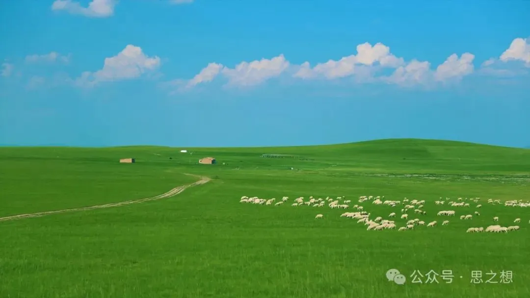 每日一歌:在草原重逢-齐旦布