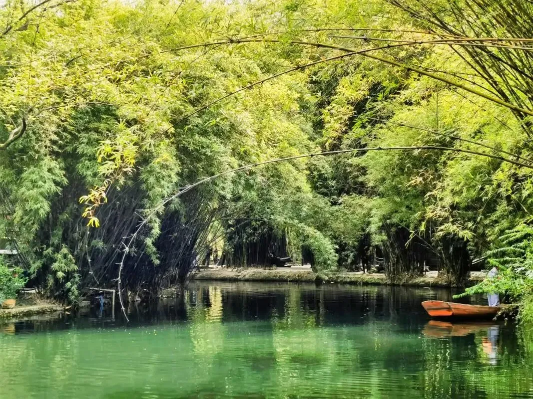 张龙山:春天的歌