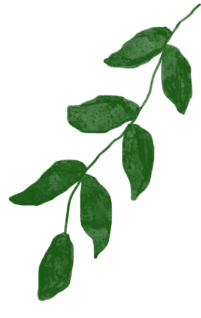 MELODY音乐站|网络热门歌曲合集