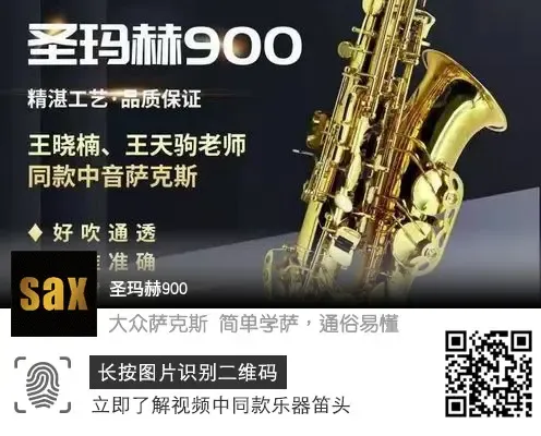 经典老歌《红莓花儿开》完整版萨克斯演奏,搭配动态光标逐句跟吹!