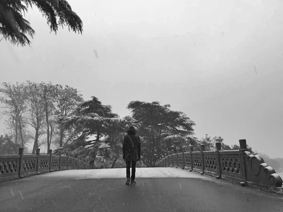 原创歌曲|【走出旷野】 最后的结局,我将从旷野出来