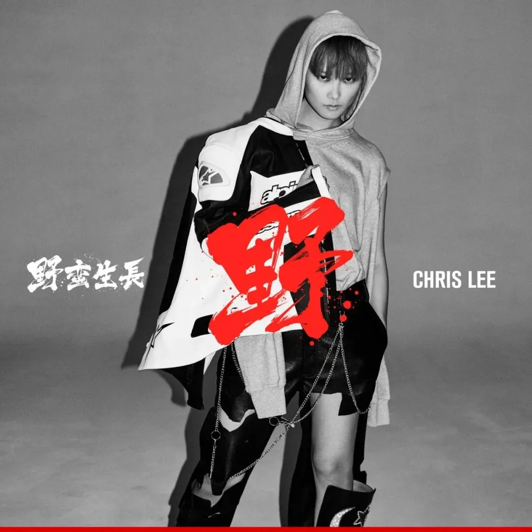 藏在歌里的日记|李宇春 2016-2017 原创歌曲创作背景回顾