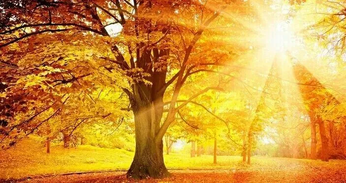 月:暗.夜唱过的歌.曲