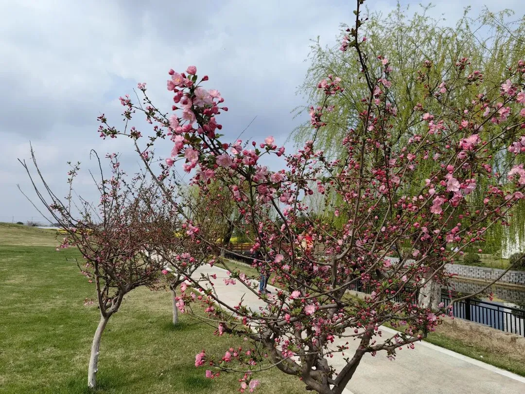 《延平王祠古梅歌》节录