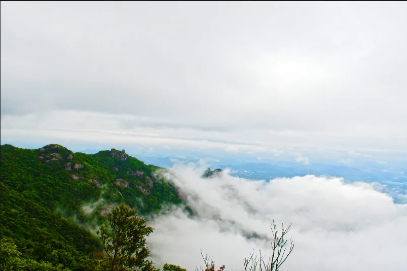 “百千万工程”之环惠州歌曲《请到惠州来》