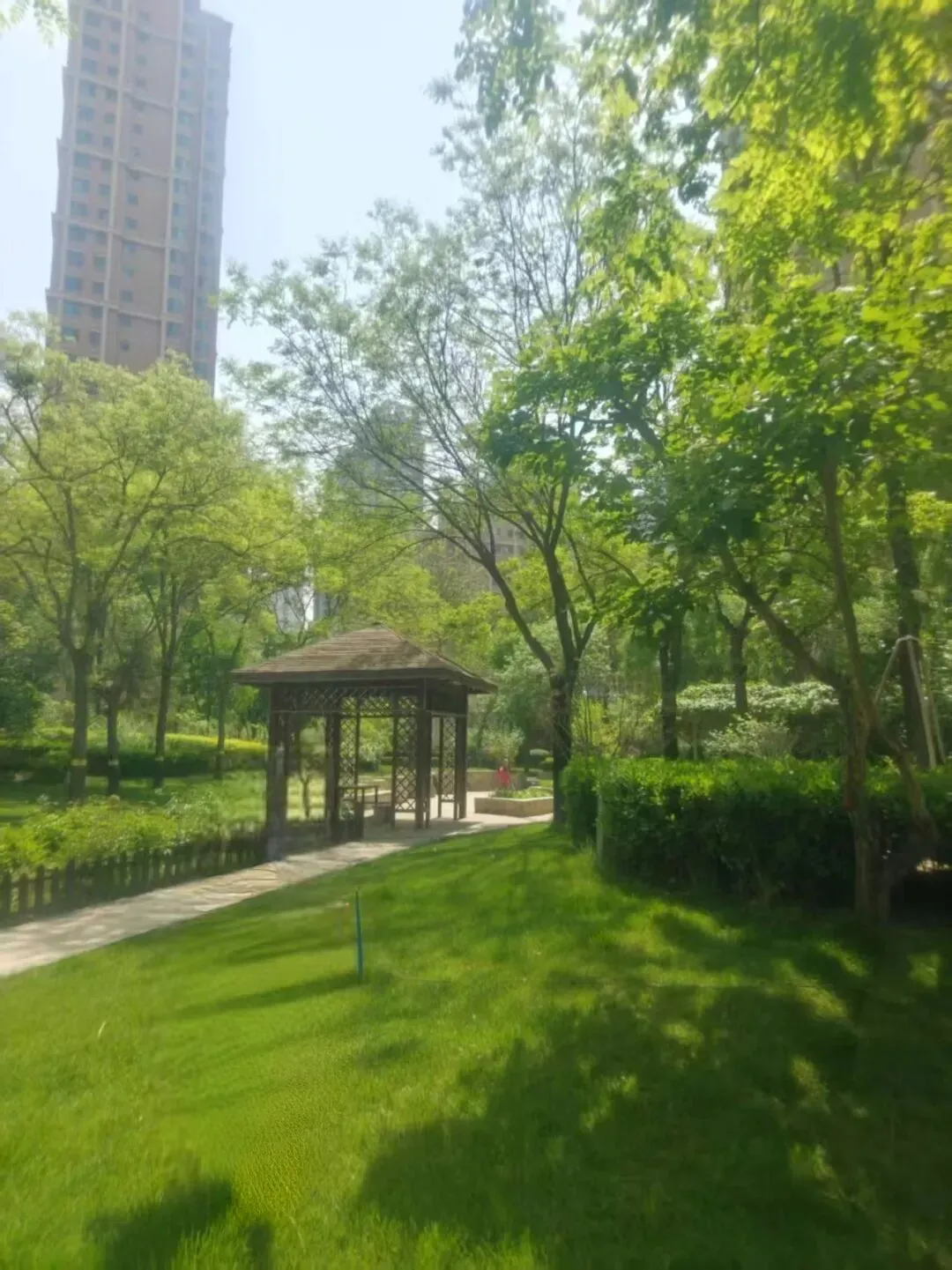 山东聊城 | 孙振春:歌曲两首