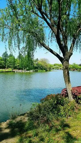 昨日长歌/疏策建言/建设运河文化带的思考与建议/王毅