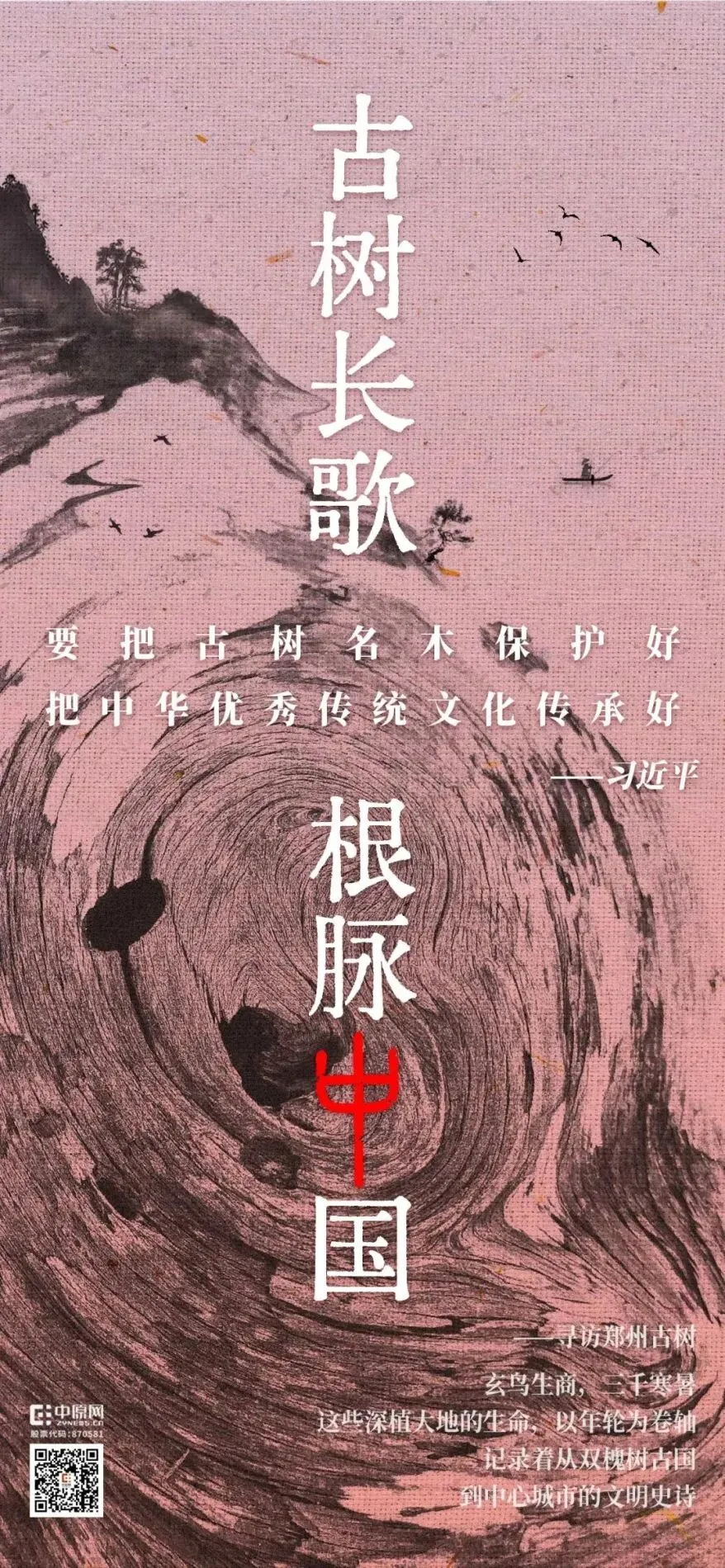 古树长歌 | 机翼日日划过的云海下,有棵“定海神针”