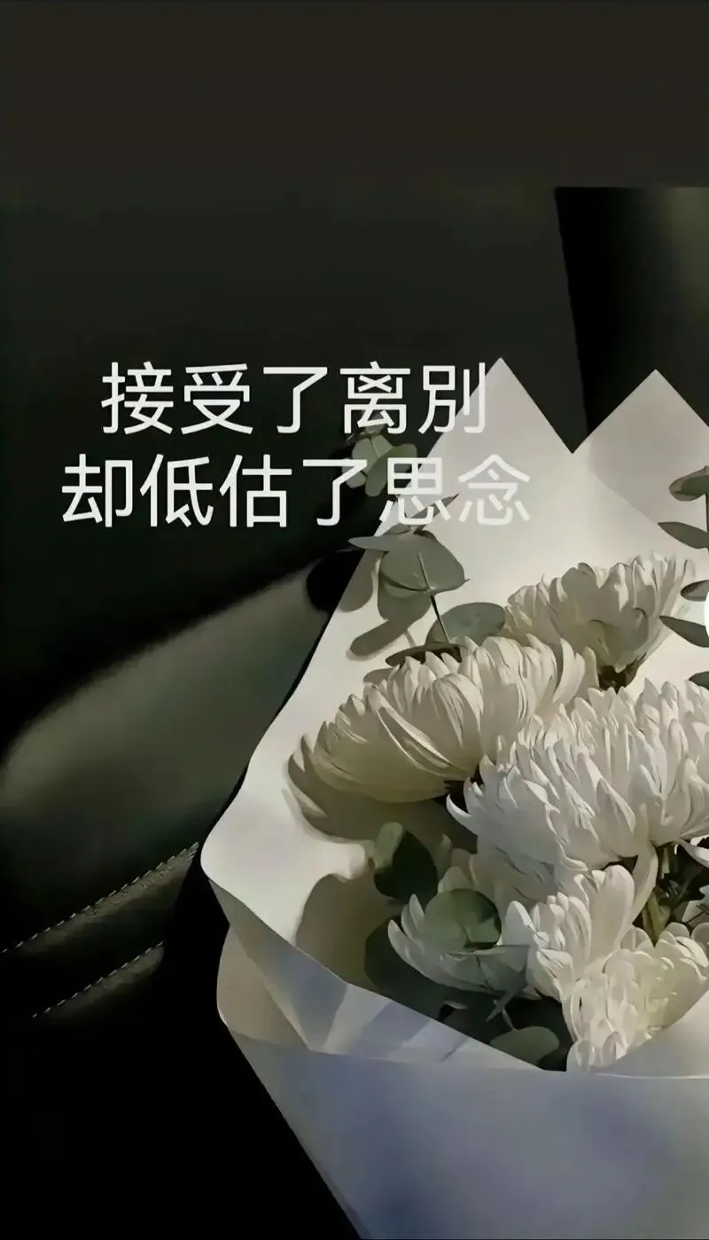 一首歌,一段文字击中泪点……