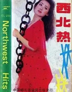 【磁带之声】《西北热--付林歌曲集》