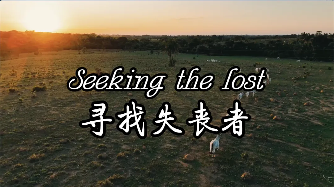 为男声合唱团写的歌 寻找失丧者 Seeking the Lost 含五线谱