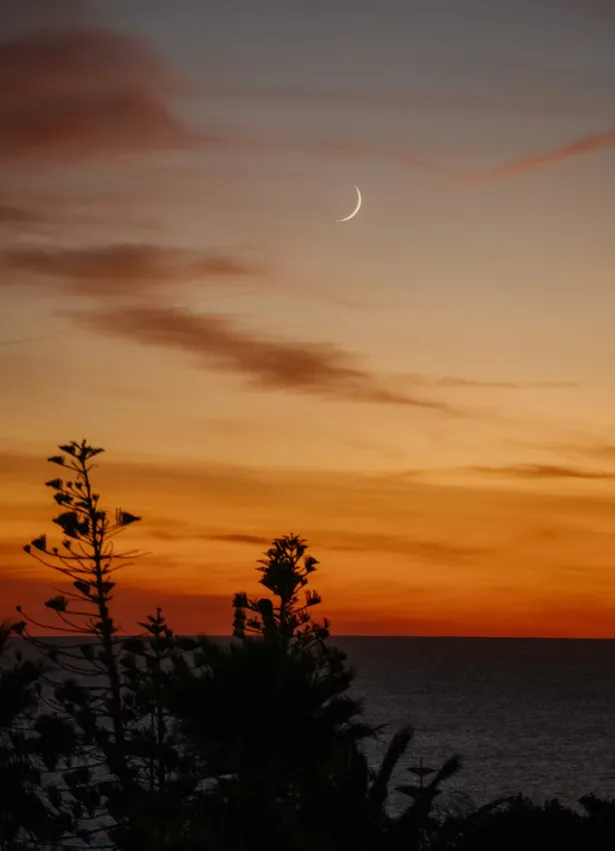 好听的歌 | 2026.03.22