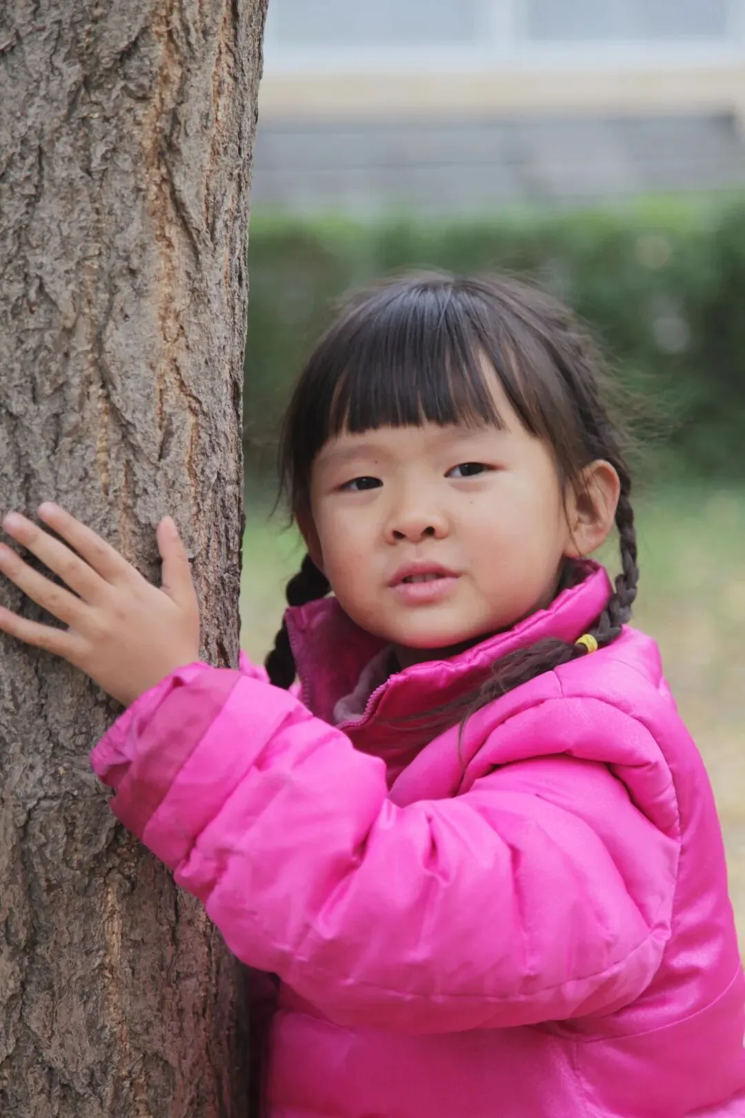 悲伤的壳,生命的歌:新美南吉绘本《蜗牛的悲伤》里的童话哲学(中文版见后)