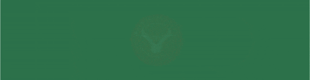 春日歌单|风遇花开,歌赴春来