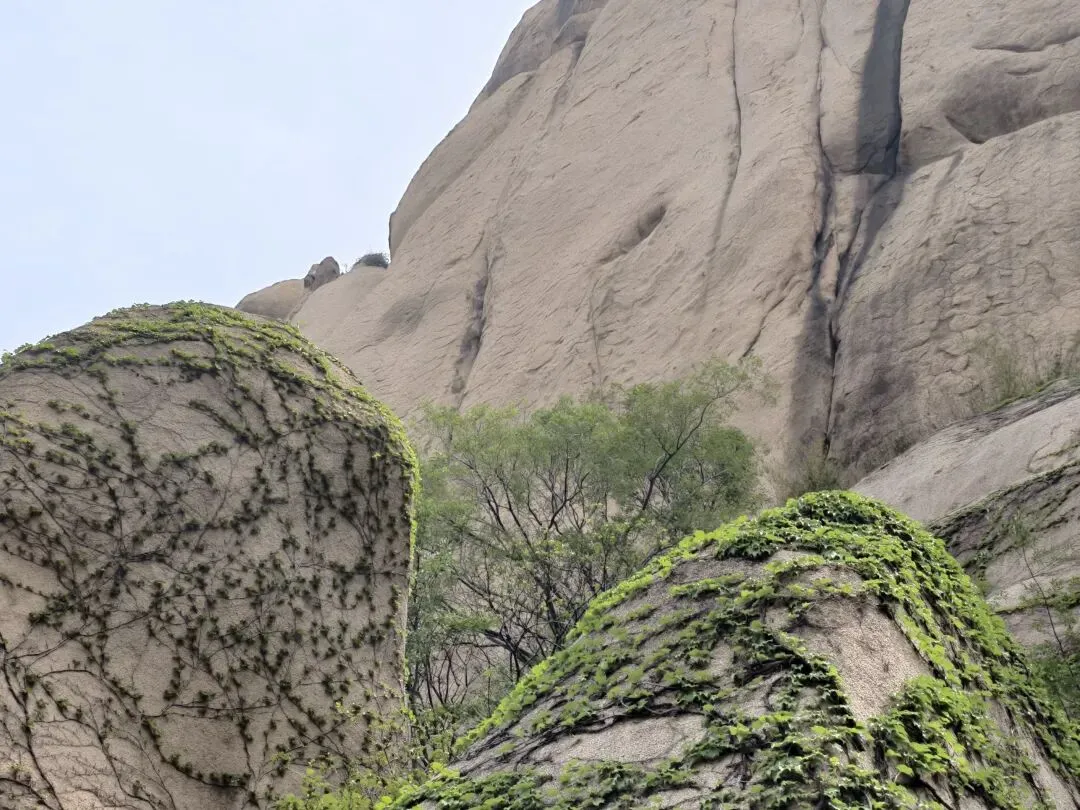 好了歌,何时能好了?