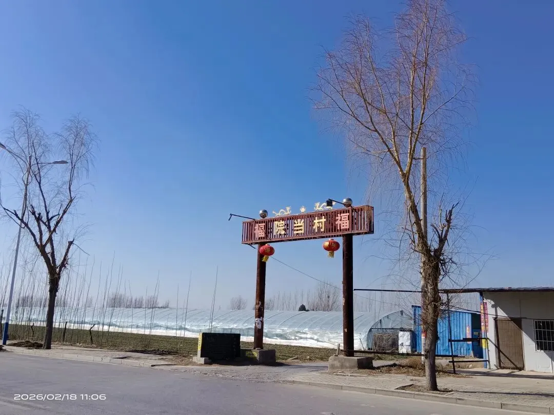 【岁月如歌】正月初二,院子里的团聚时光