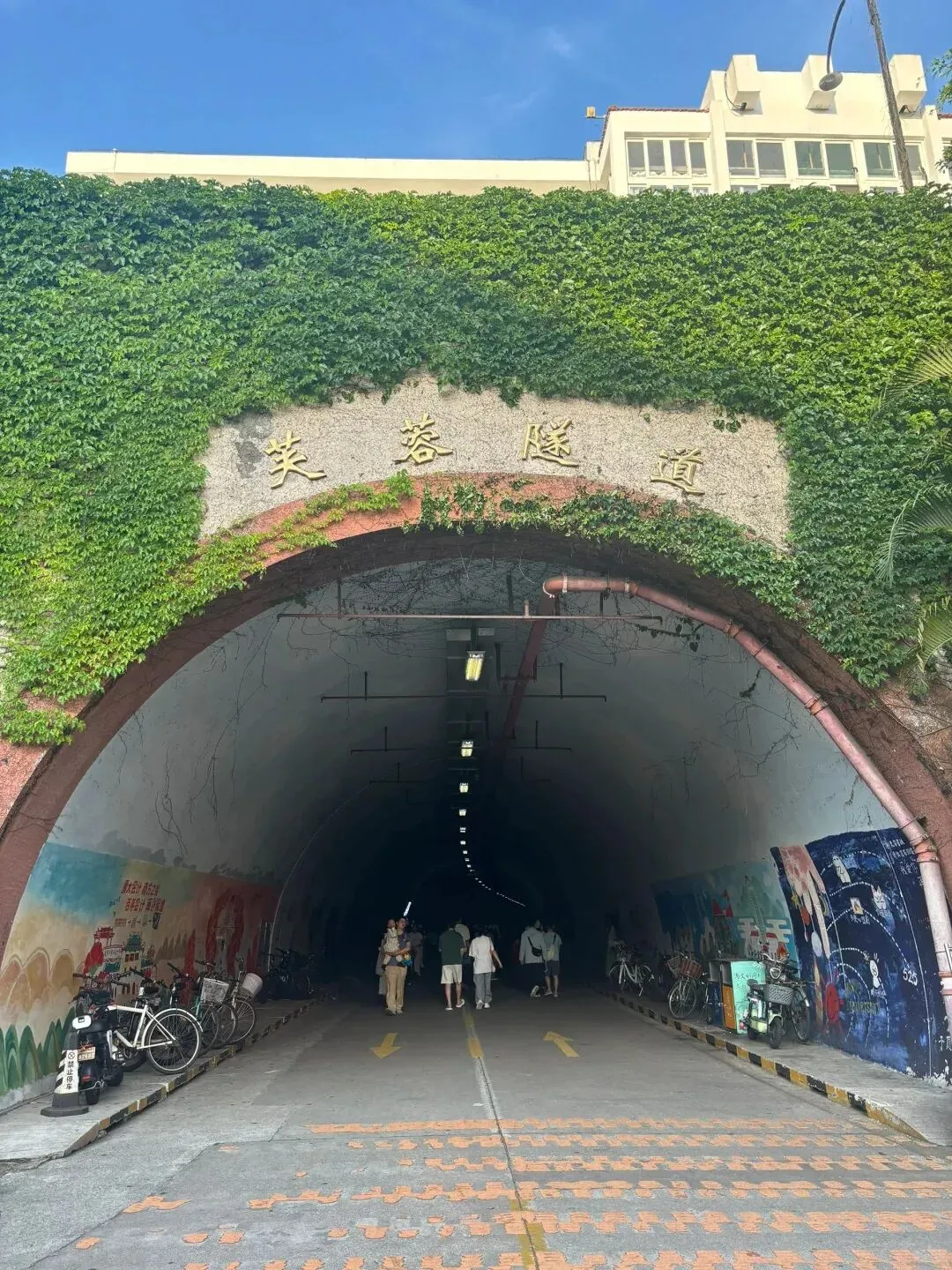 厦门日记|厦门大学的上弦场边,那首老歌还在单曲循环