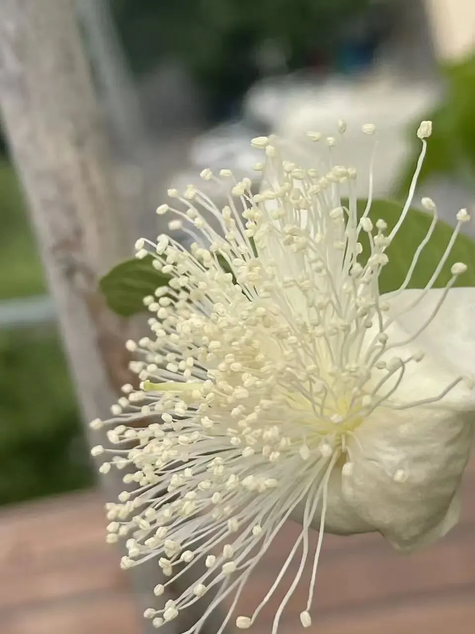 超棒的《吴再养生歌》!涵盖了运动、饮食、心态、社交、医疗等方面,绝佳的健康指南,马上转给家人