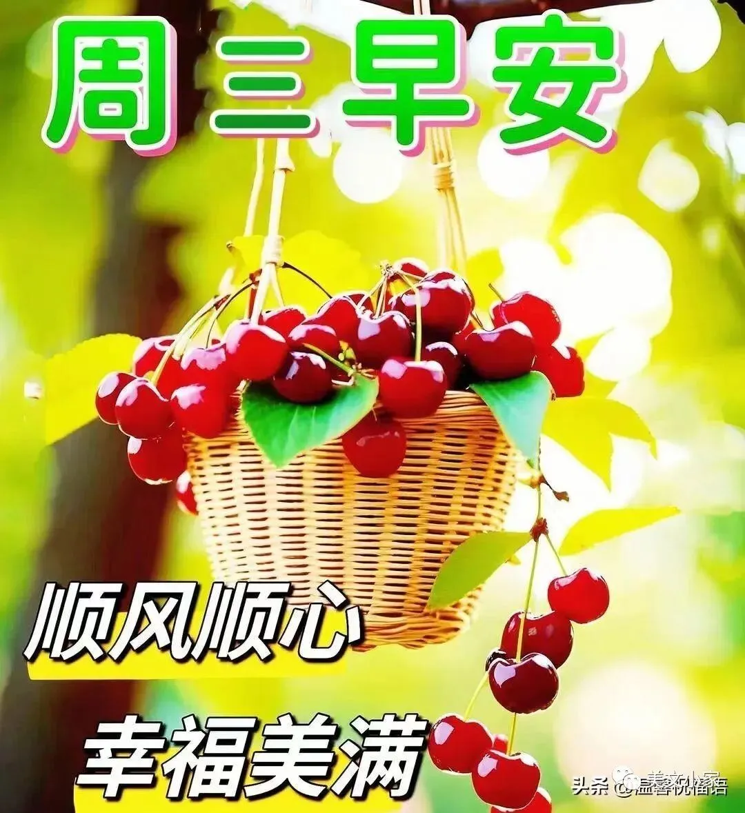 早安,祝福如歌,唱响了天明和日出.早上好!