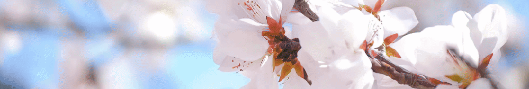 武秀珍:歌声响不响,看的是人心齐不齐