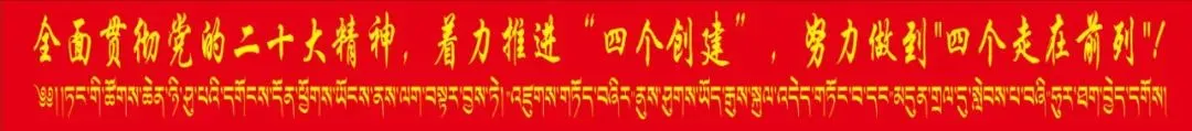 以歌为媒,唱响“红色旋律”、以舞为魂,舞出“振兴风采”