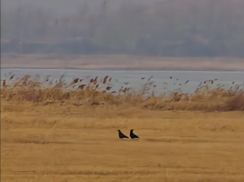 随心所遇原创歌曲《能不能好好的说几句话》