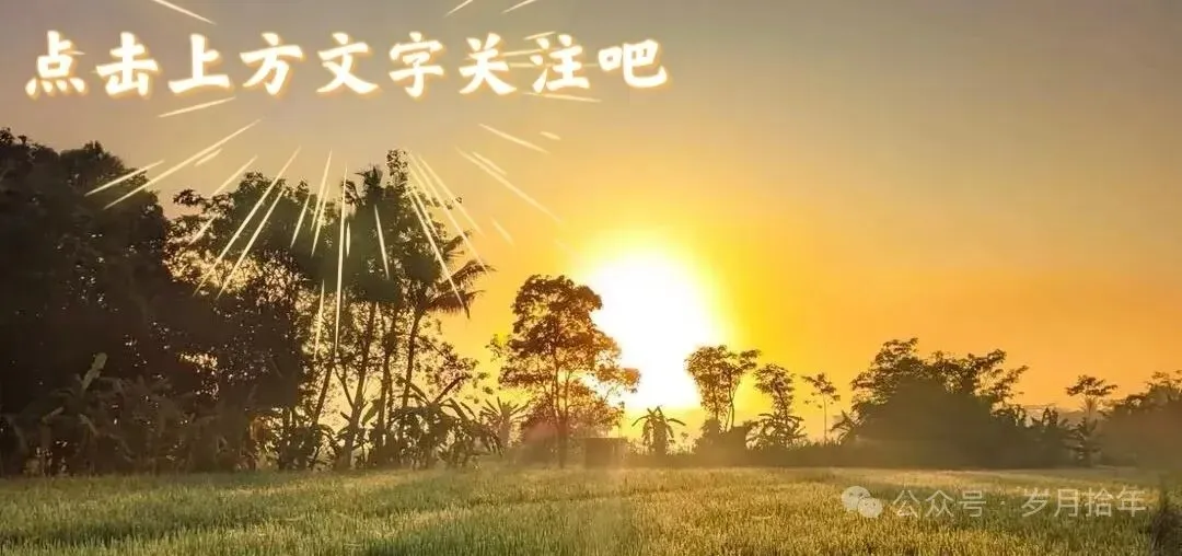 人生过半,还会为一首歌心动