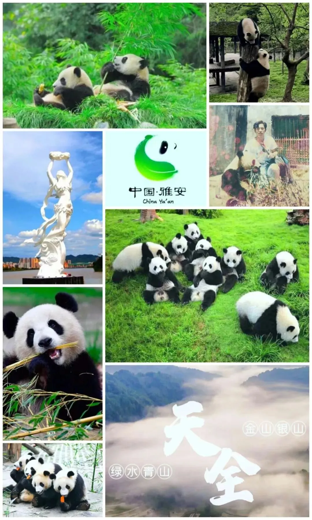 清风雅雨间的大地歌者——魏华刚