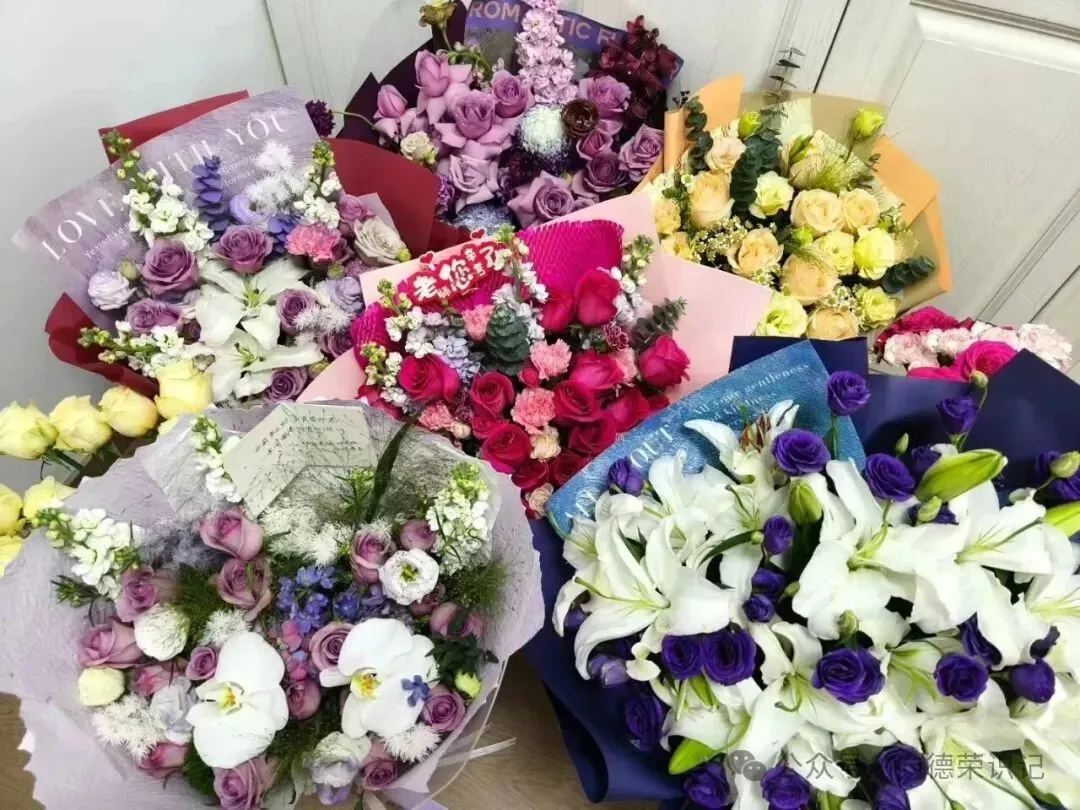 有歌 有友 有阳光