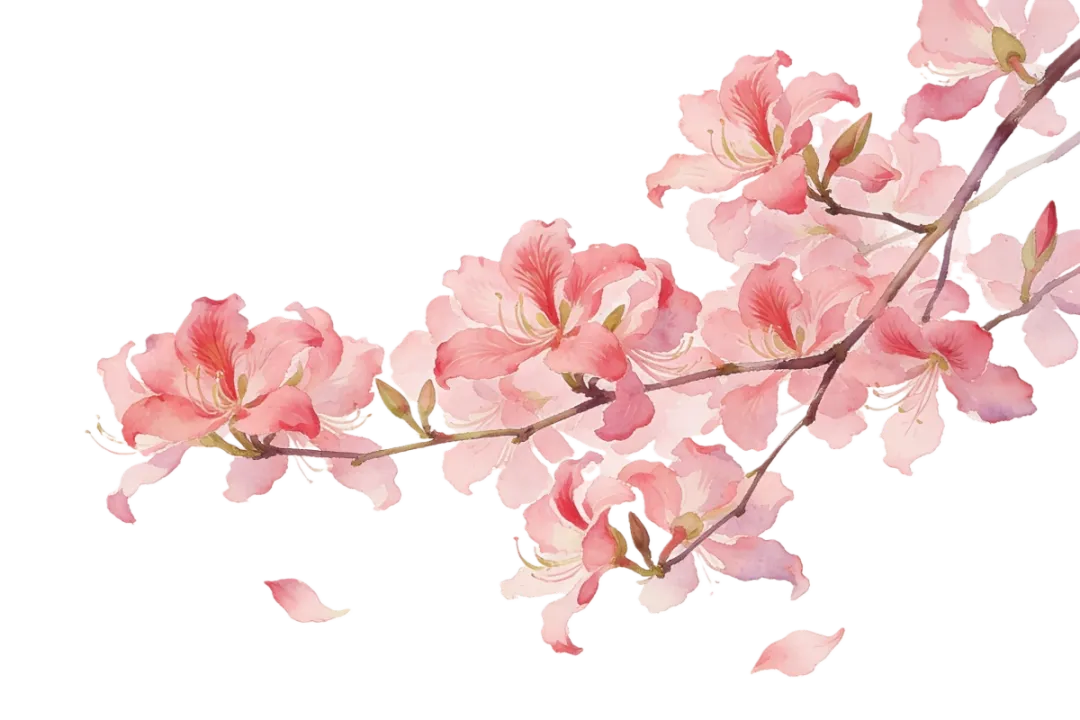 歌曲征集:“歌仙刘三姐”2026柳州新民歌作品征集暨第五届原创作品大赛启事