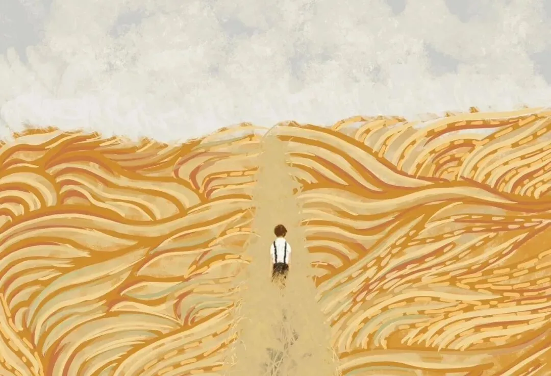 【好歌分享】《走麦田》歌曲解析