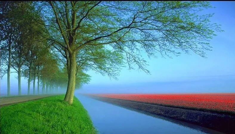 把悲伤留给自己:藏在老歌里,那场不说破的告别