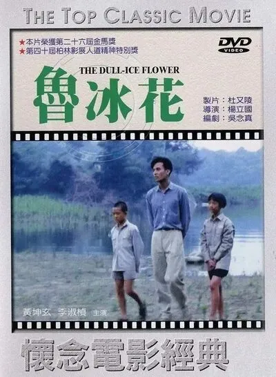 怀旧歌曲-鲁冰花