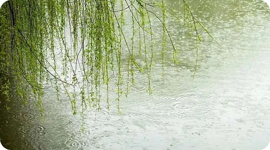 童声歌曲《春雨蒙蒙地下》