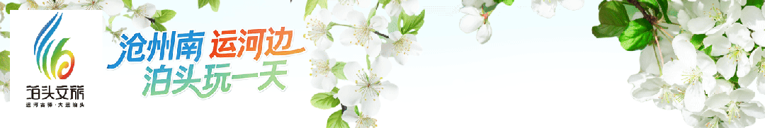 泊头原创歌曲推荐|泊头梨花又开放