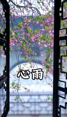 (心雨)是你们去KTV的必点歌曲吗?