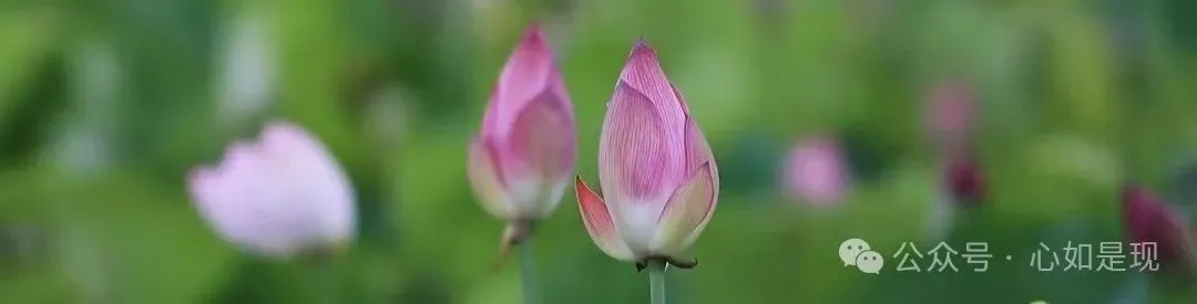 原创歌曲《我允许》----韩颖心 允许一切如其所是