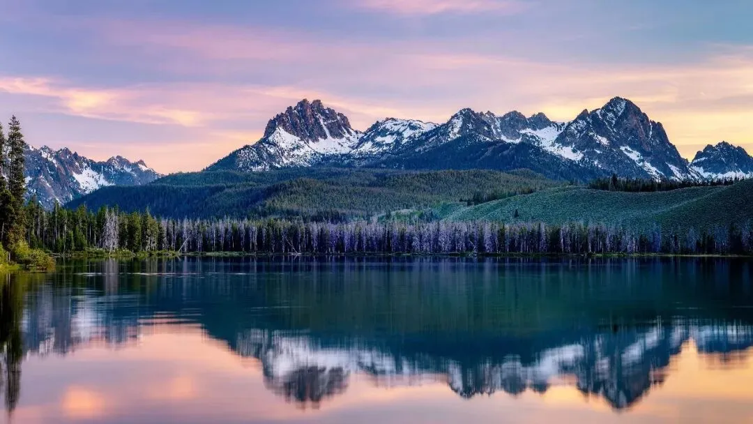 每日一歌:终于等到你-张靓颖