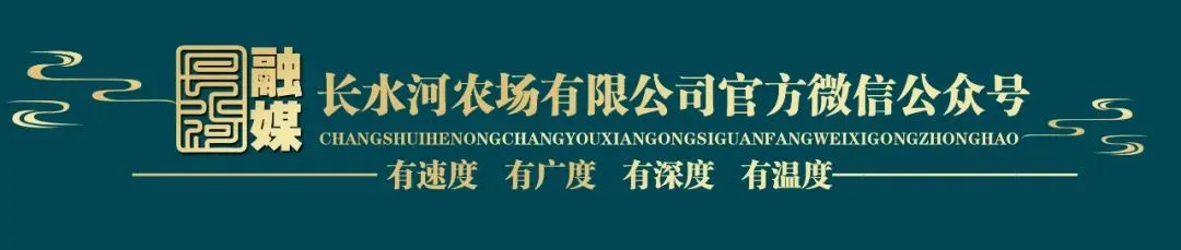 【最美劳动者之歌】长水河农场有限公司农业科技服务中心副主任 田巧玲