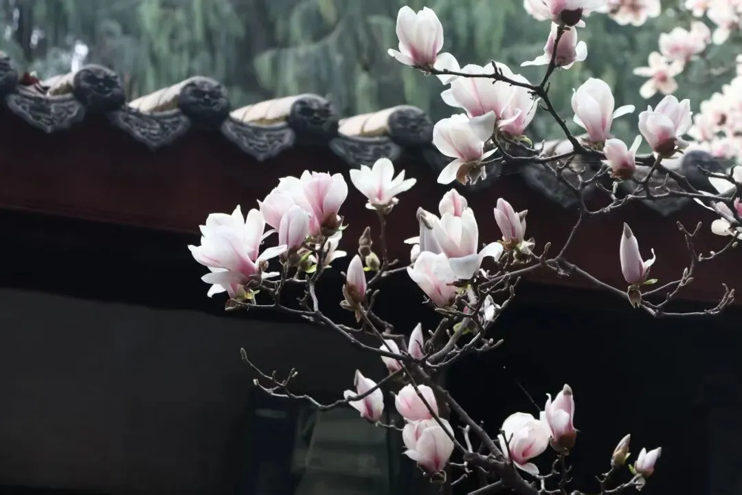 记得歌时,不记归时节