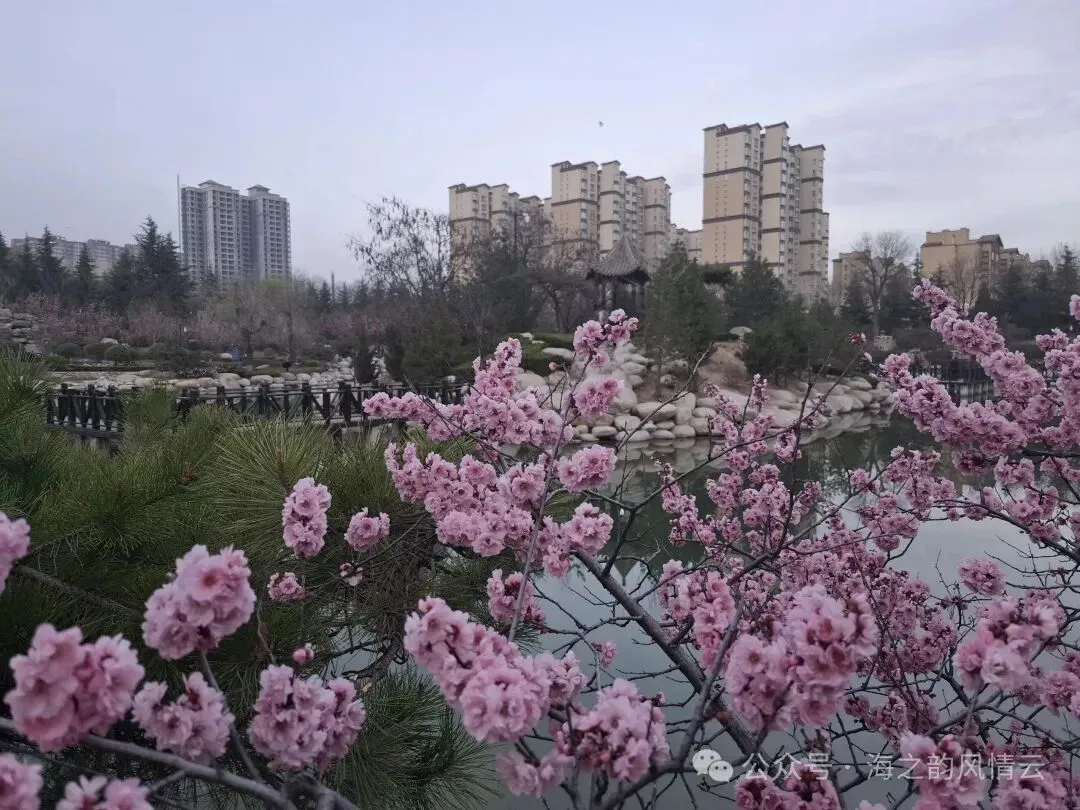 一人一首成名曲,张信哲等演唱18首经典老歌,品味时光,抚慰心灵的力量