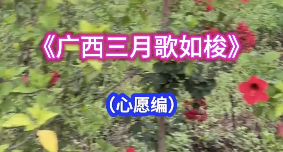 《广西三月歌如梭》(心愿编)