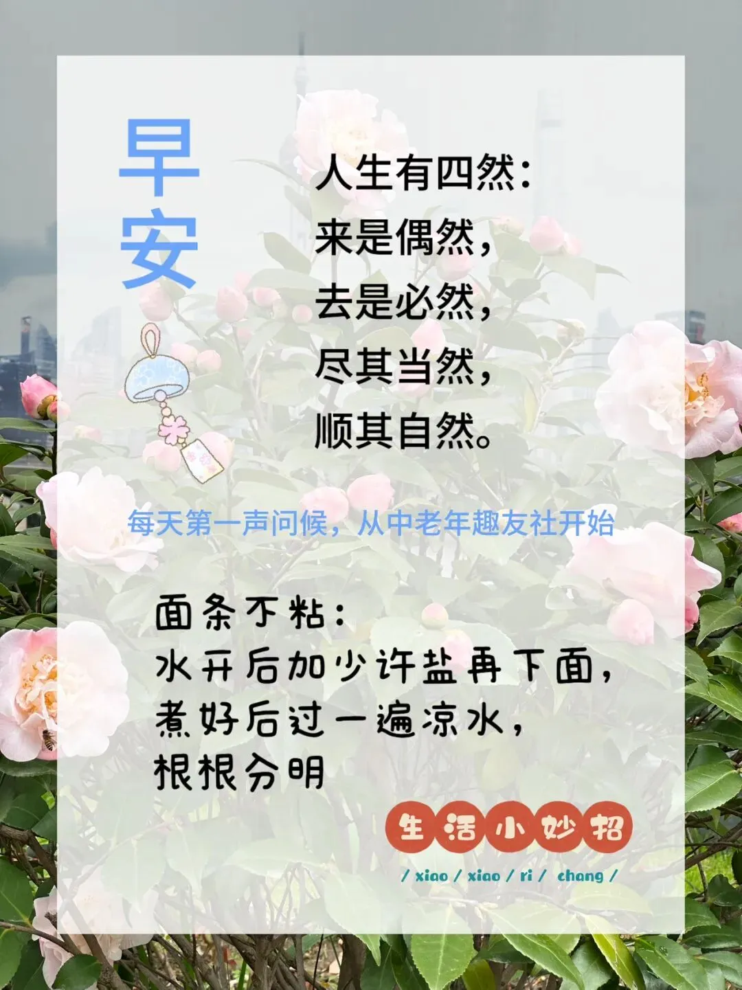 精彩课堂|重温经典老歌邓丽君的《在水一方》