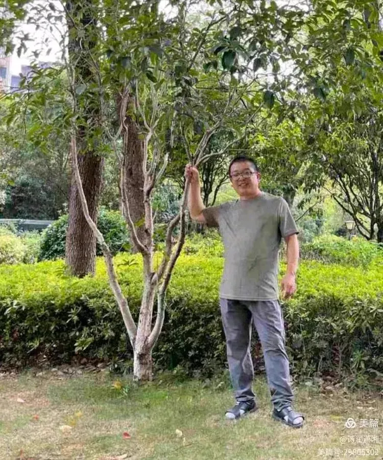 澧水吟歌承古韵,诗心灼灼绘新篇——读《澧州诗词微刊》2026年第10期(总第030期)万字读书笔记