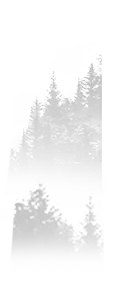 赤水长歌传薪火 检徽映照新征程